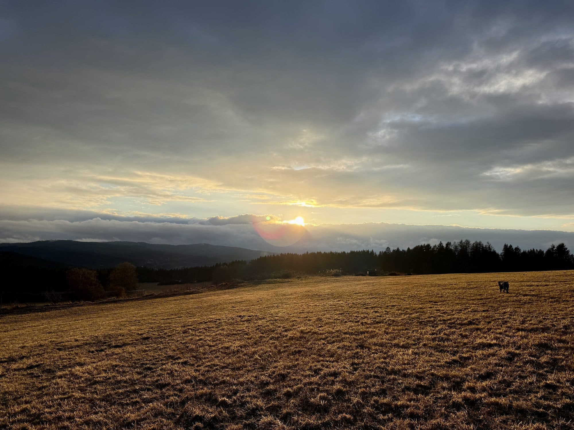 Západ slunce nad Šumavou