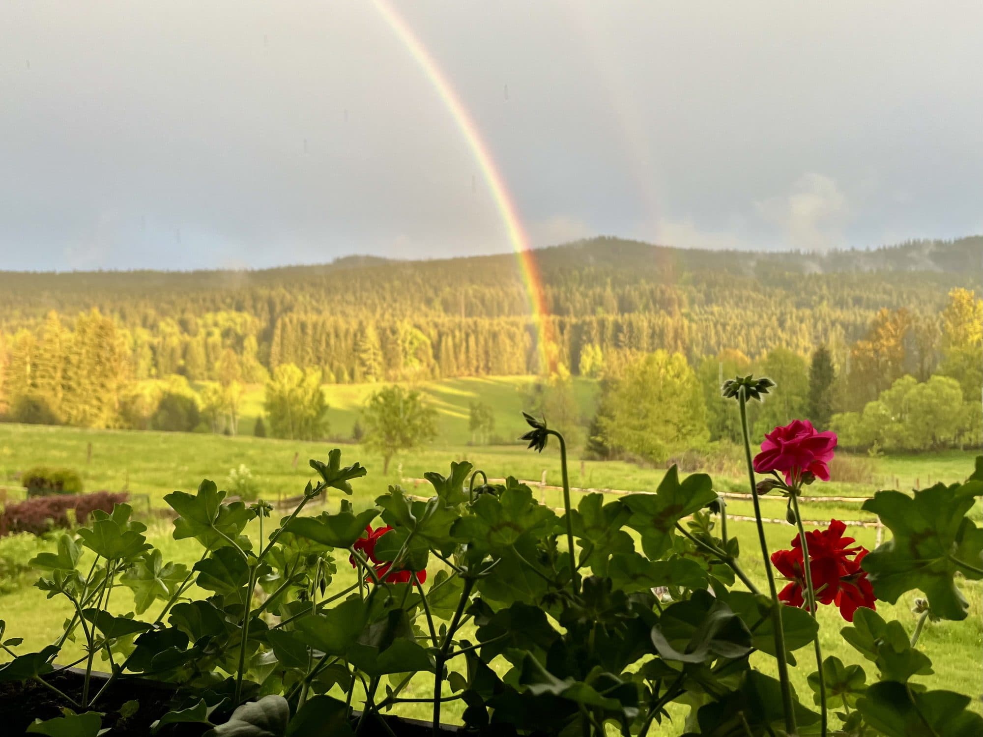 Duha nad loukami