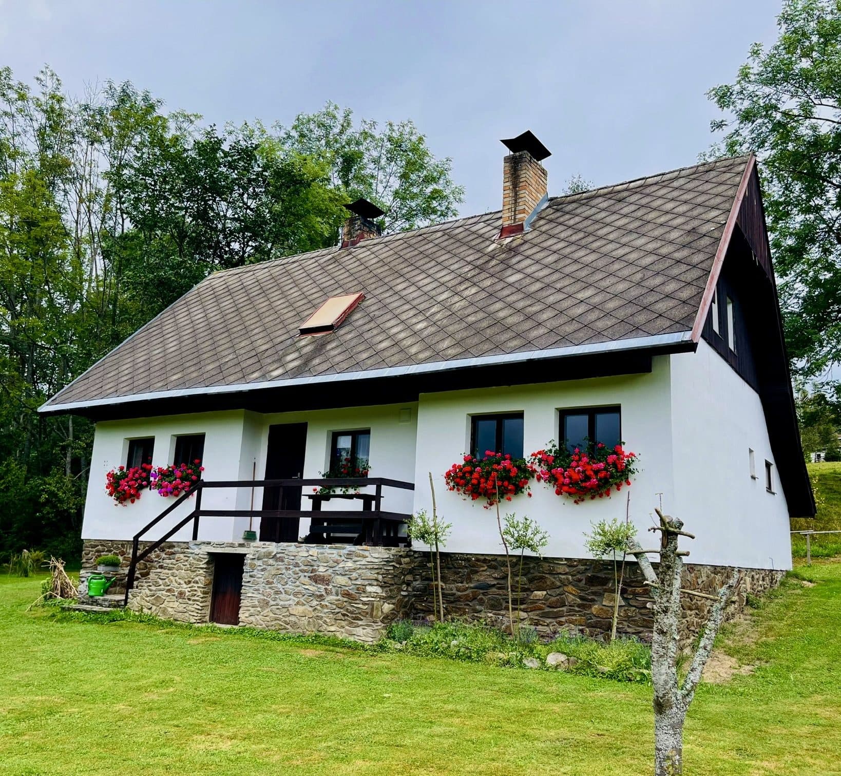 Bílá šumavská chalupa s muškáty v oknech